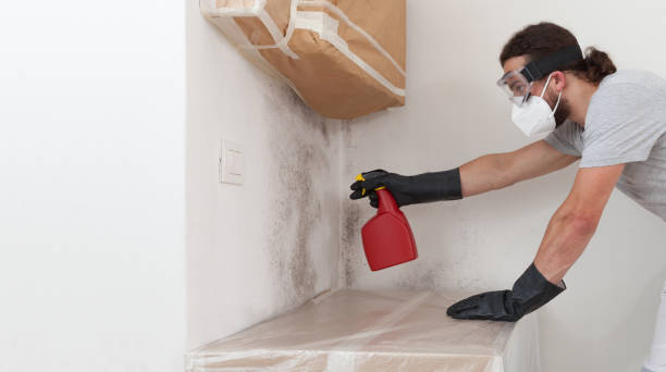Professional Bathroom Mold Removal technician working in Sabillasville, MD